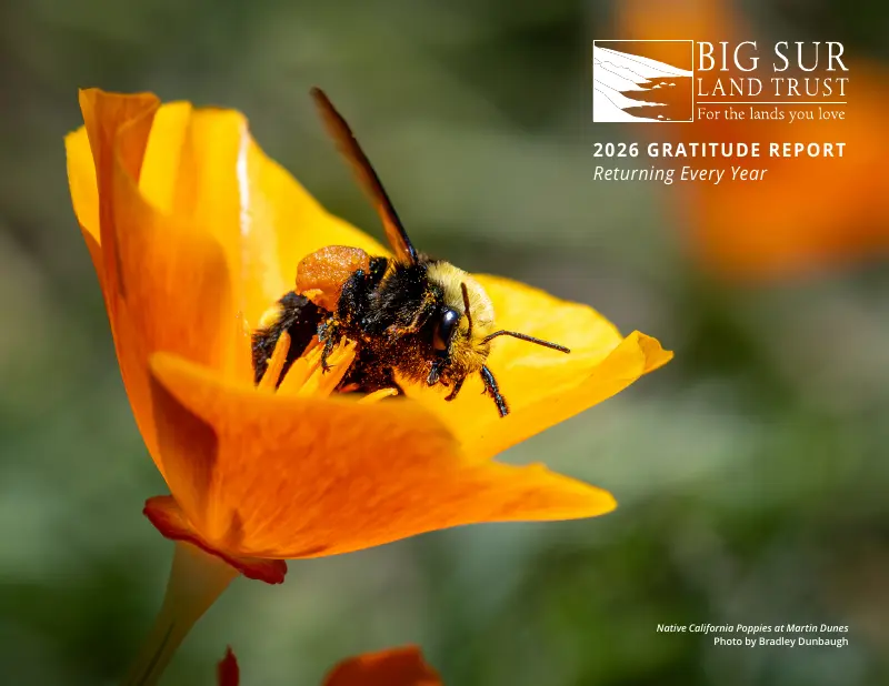 Big Sur Land Trust report cover
