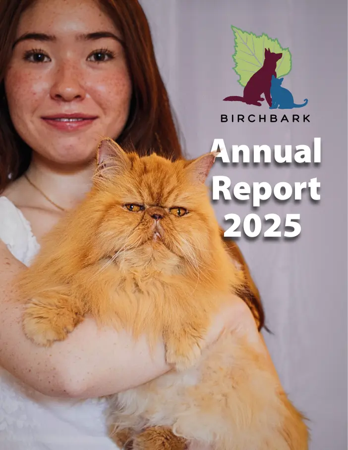 BirchBark report cover