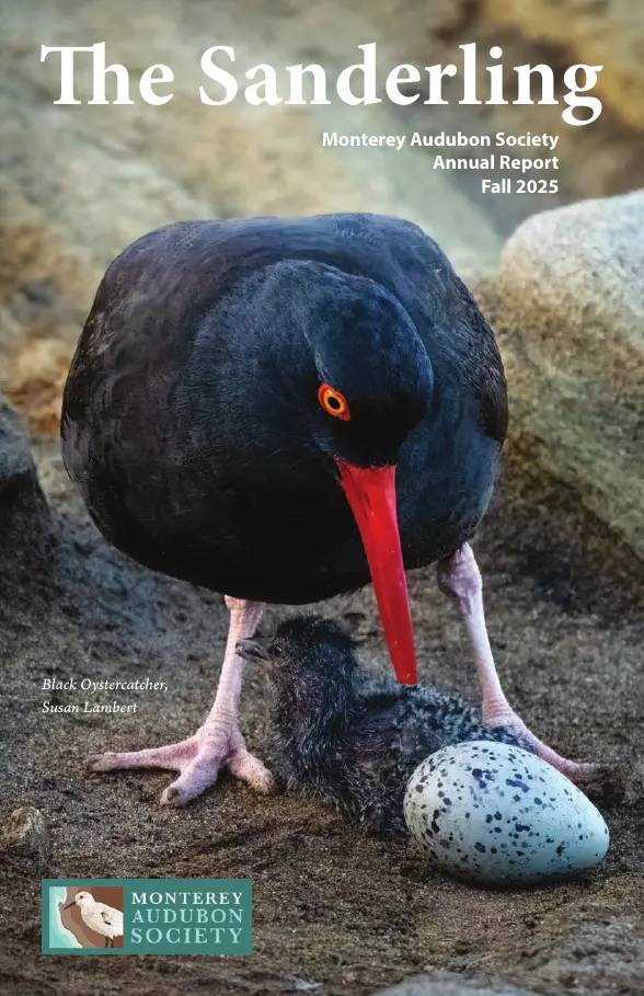 Monterey Audubon Society report cover