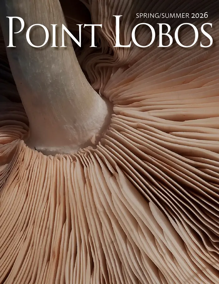 Point Lobos Foundation report cover