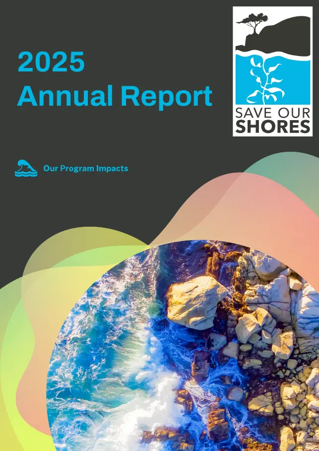 save our shores report cover