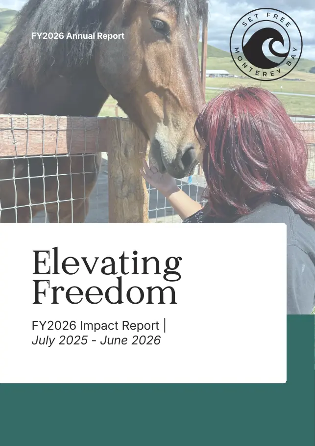 Set Free Monterey Bay report cover