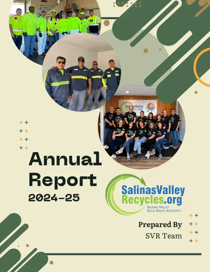 svswa report cover