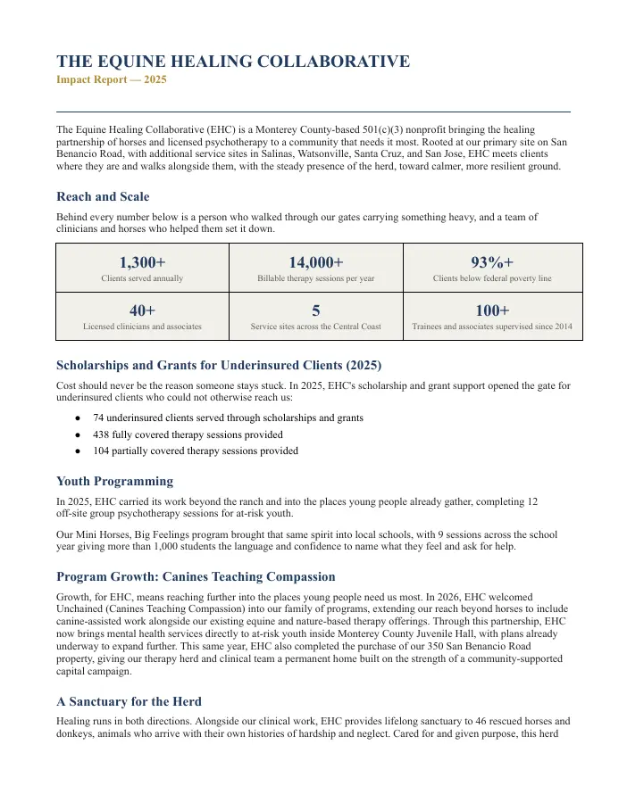 The Equine Healing Collaborative report cover