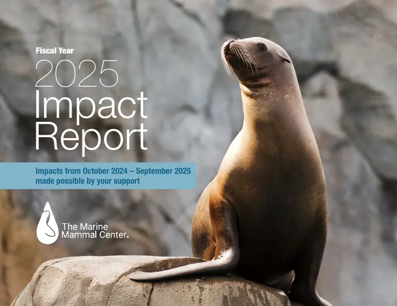 The Marine Mammal Center report cover