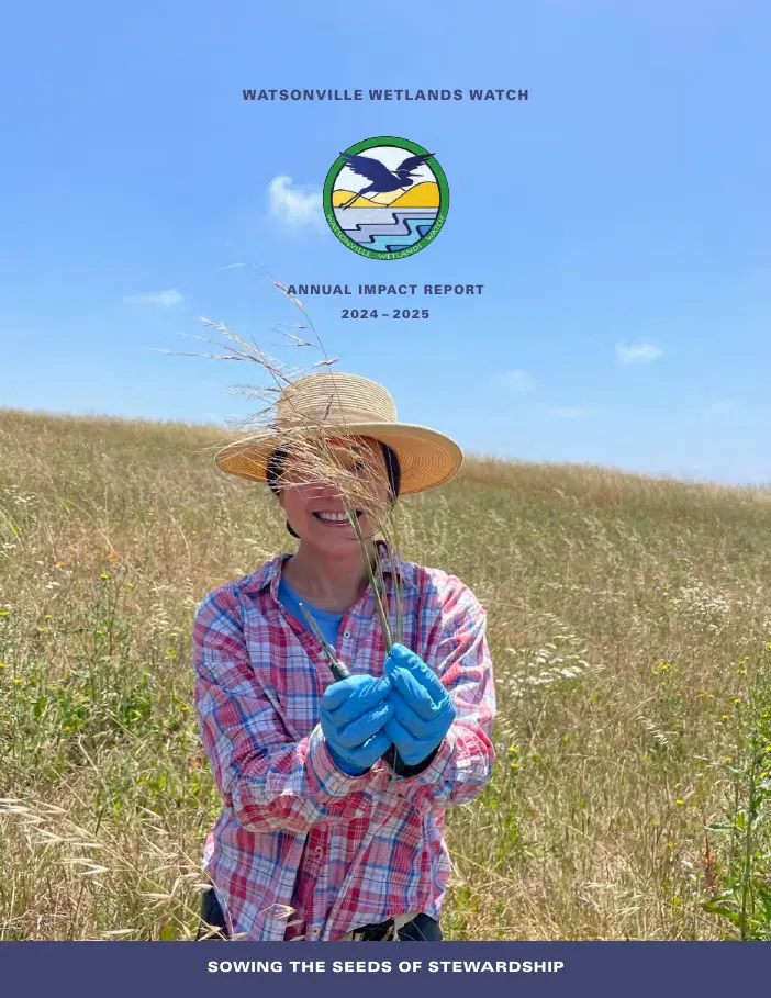 Watsonville Wetlands Watch report cover
